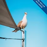فندق Les Voiles 3*